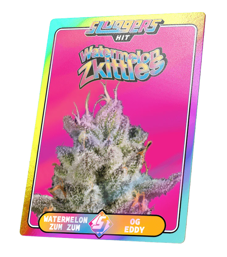 Watermelon Zkittles Hybrid Juiced 5pk - Image 4
