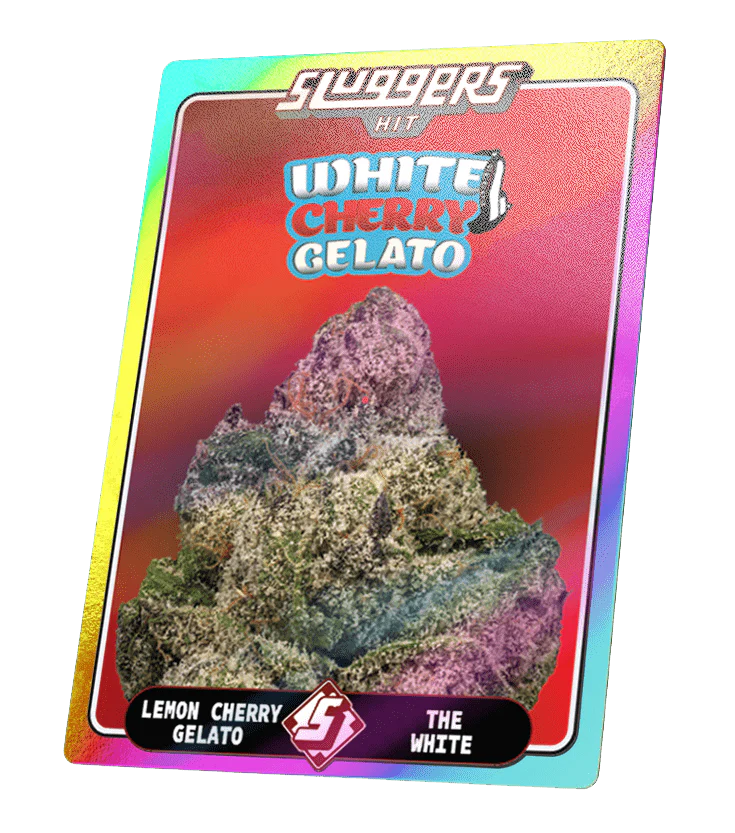 White Cherry Gelato Hybrid Juiced 5pk - Image 4